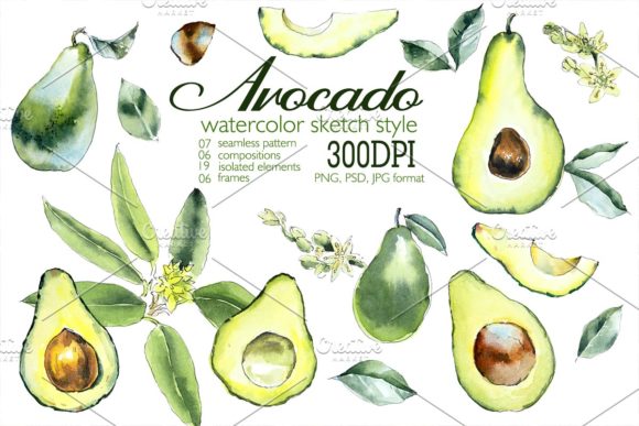 Avokado. Watercolor Set: Fresh Illustrations