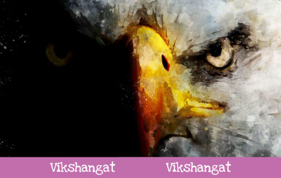Bald Eagle Face Watercolor Art Illustrations