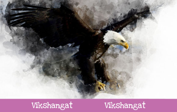 Bald Eagle Fly Watercolor Art Illustrations
