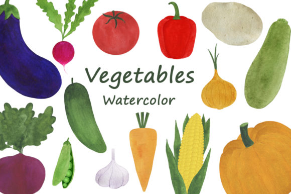 Collection Vegetables Watercolor Illustrations