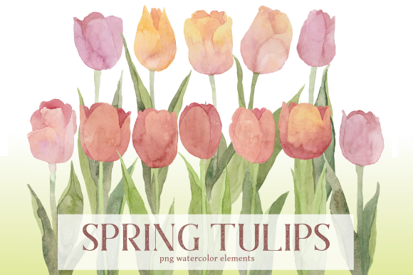 Pale Spring Tulips Watercolor Floral Set