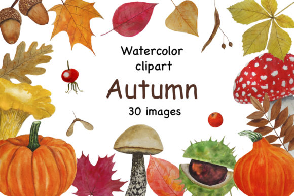 Set Autumn Watercolor Illustrations Review