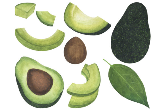 Set Avocado Watercolor Food Illustration Review