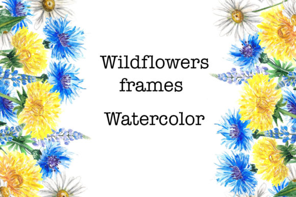 Set Watercolor Wildflowers Frames Review