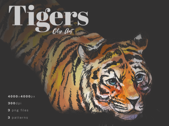 Tigers Watercolor Clip Art Patterns Review