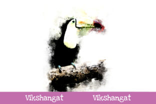 Toucan Bird Watercolor Art & Illustrations