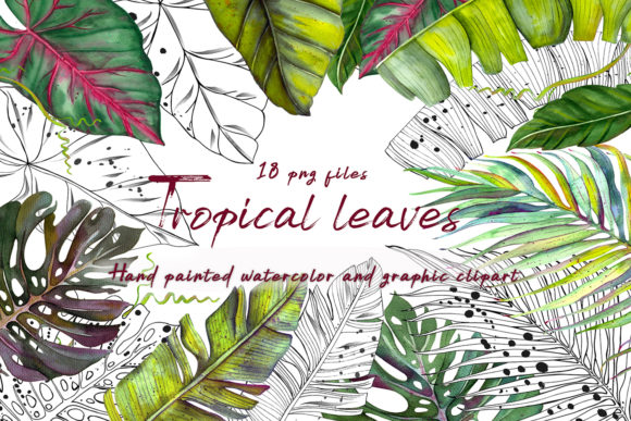 Tropics Watercolor Clipart & Illustrations