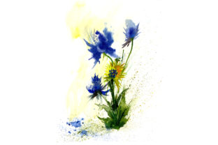 Watercolor Abstract Flowers Illustrations Review