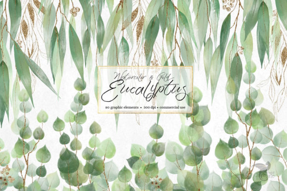 Watercolor and Gold Eucalyptus Illustrations