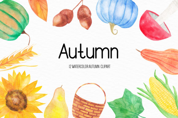 Watercolor Autumn Illustrations Review