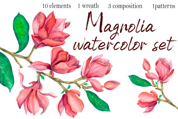 Watercolor Magnolia Flowers Clipart & Illustrations