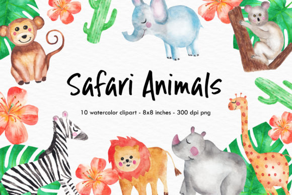 Watercolor Safari Animals Illustrations Review