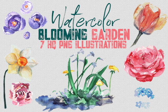 Watercolor Set Blooming Garden: Illustrations Review