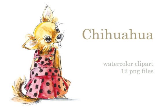 Watercolor Set - Chihuahua Illustrations Review
