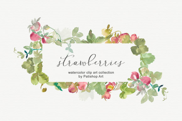 Watercolor Strawberry Clipart Collection Illustrations