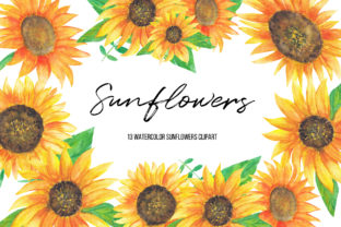 Watercolor Sunflowers Clipart & Illustrations