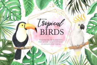 Watercolor Tropical Birds Set Illustrations Review