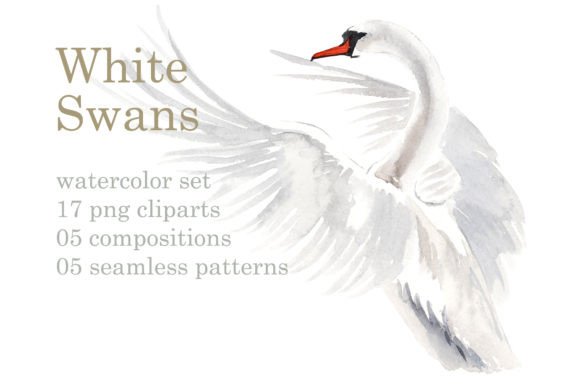 Watercolor White Swans with Pink Lilies Illustrations
