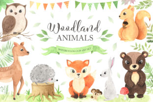 Watercolor Woodland Animals Set Illustrations